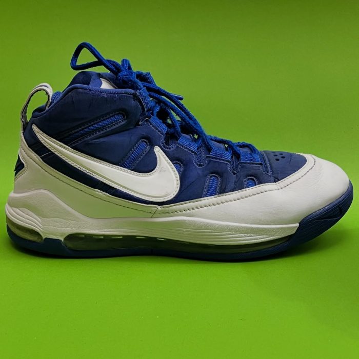 Nike Air Max LeBron Basketball Shoes – Blue/White